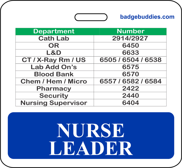 3 3/8" x 3 1/8" Horizontal Double Sided Nurse Leader / Blue / Doctors Hospital of Augusta